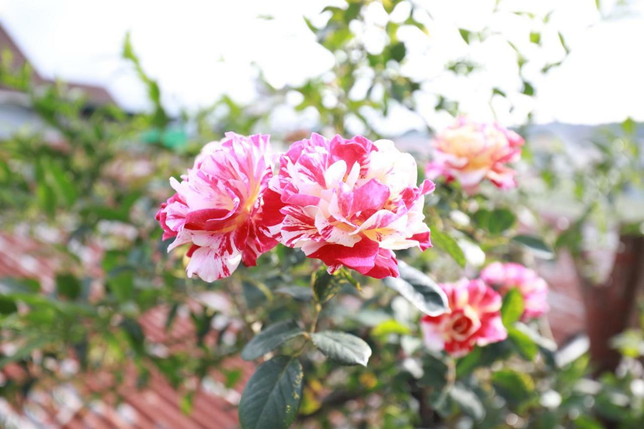 Homestay Doc Tinh Đà Lạt Exterior foto
